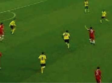 vanvomel_41.jpg