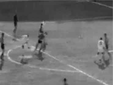 pele1_81.jpg