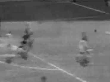 pele1_87.jpg