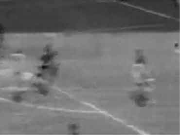 pele1_89.jpg