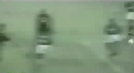 shootszi_5413.jpg
