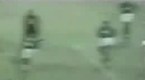shootszi_5416.jpg