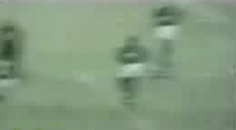 shootszi_5418.jpg