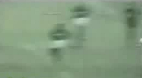 shootszi_5420.jpg