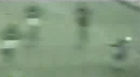shootszi_5423.jpg