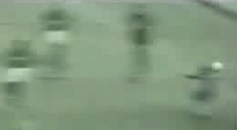 shootszi_5424.jpg