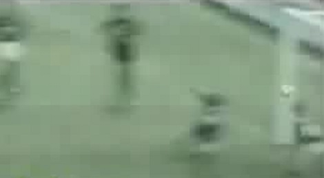 shootszi_5425.jpg