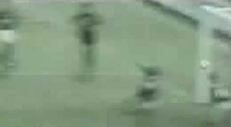 shootszi_5426.jpg