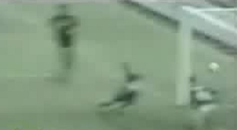 shootszi_5427.jpg