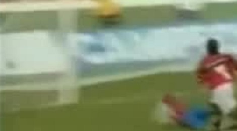 shootszi_590.jpg