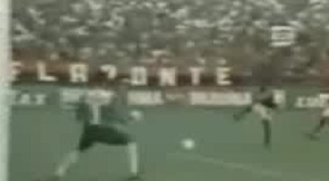 shootszi_756.jpg