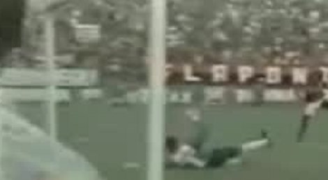 shootszi_784.jpg