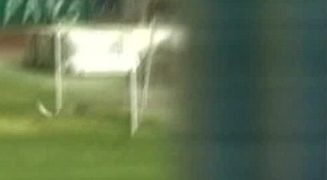 shootszi_939.jpg