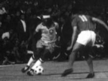 wlkrun_4233.jpg