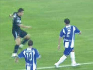crmatagi_07.jpg