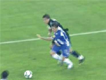 crmatagi_23.jpg